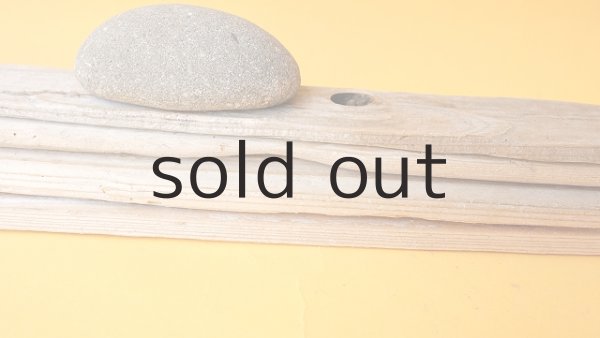 画像6: 板流木セット (6)