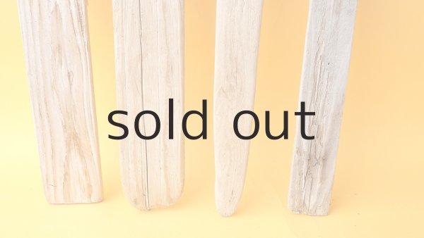 画像2: 板流木セット (2)