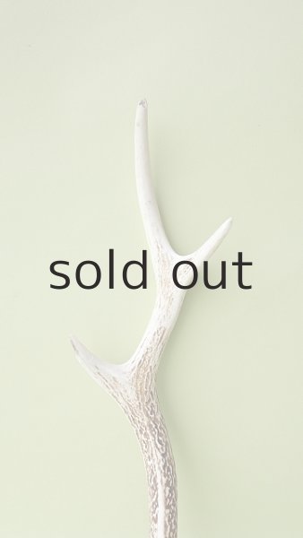 画像3: デコール用二ホンジカの角 (3)