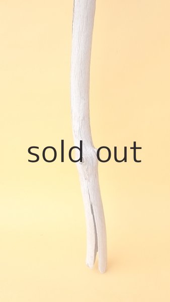 画像2: 枝流木 (2)