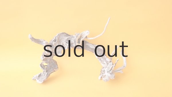 画像4: 流木根 (4)