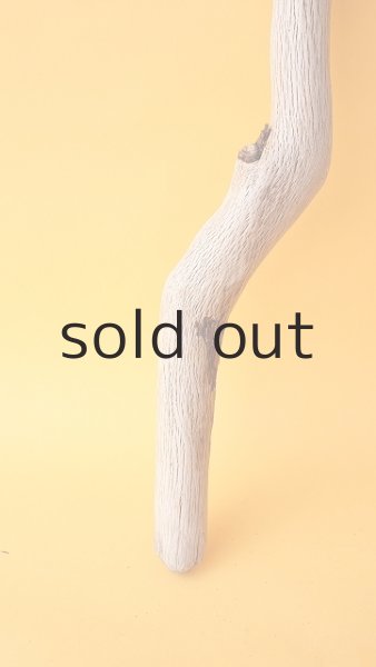 画像2: 小枝流木 (2)