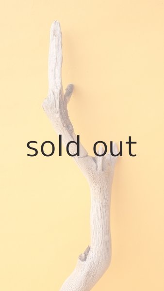 画像3: 小枝流木 (3)