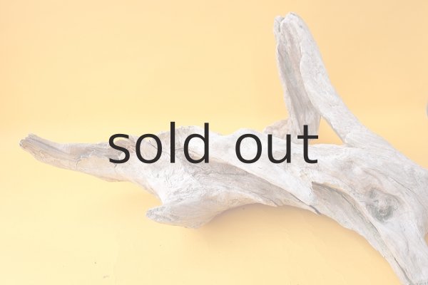 画像9: 変形流木（中型） (9)