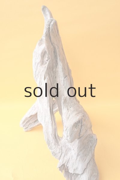 画像6: 変形流木（中型） (6)