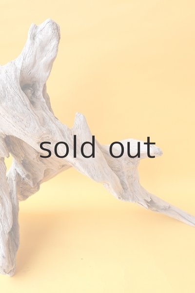 画像5: 変形流木（中型） (5)