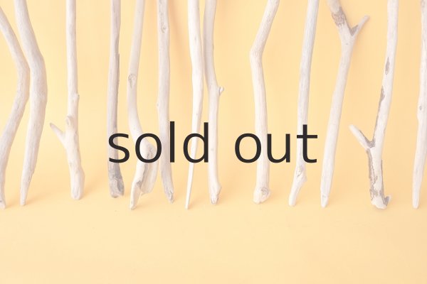 画像6: 小枝流木セット (6)