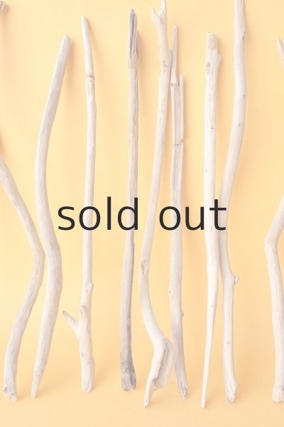 画像3: 小枝流木セット (3)