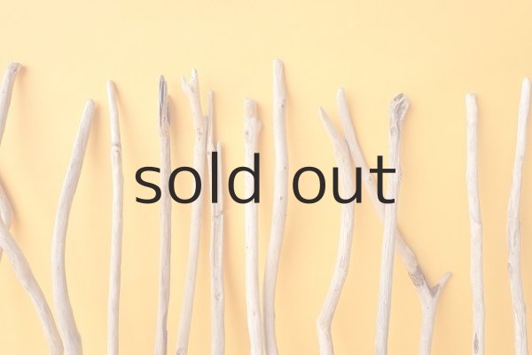 画像7: 小枝流木セット (7)