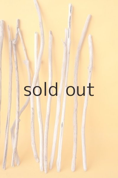 画像5: 小枝流木セット (5)