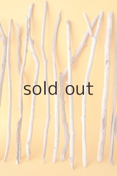 画像3: 小枝流木セット (3)