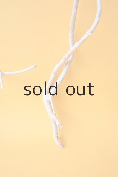 画像3: 小枝流木セット (3)