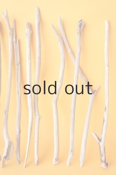 画像4: 小枝流木セット (4)