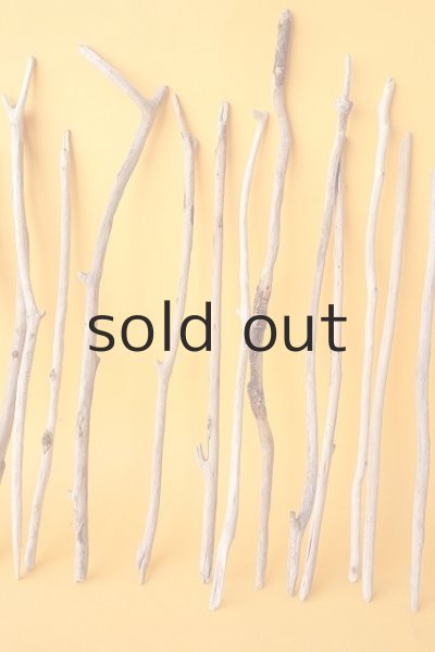 画像3: 小枝流木セット (3)