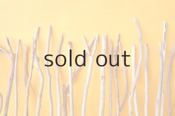 画像7: 小枝流木セット (7)