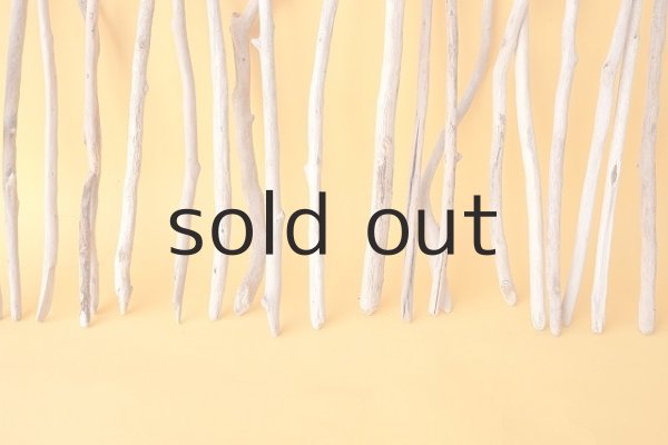 画像6: 小枝流木セット (6)