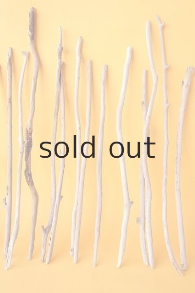 画像4: 小枝流木セット (4)