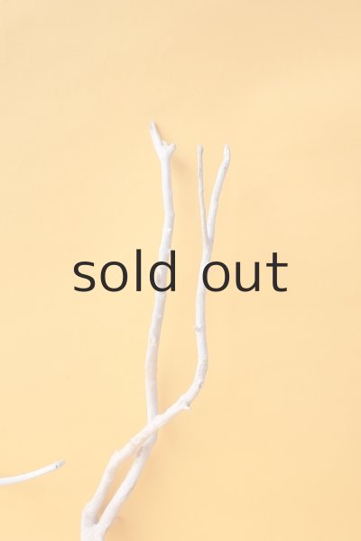 画像4: 小枝流木セット (4)