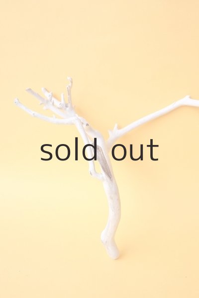 画像2: 小枝流木セット (2)