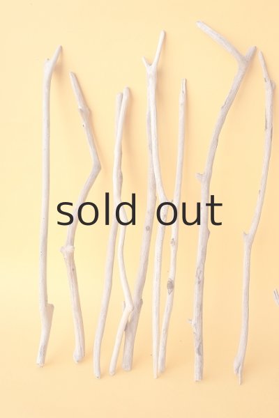 画像2: 小枝流木セット (2)