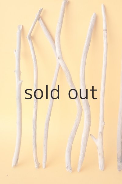 画像2: 小枝流木セット (2)