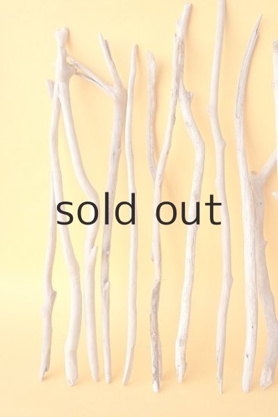 画像2: 小枝流木セット (2)