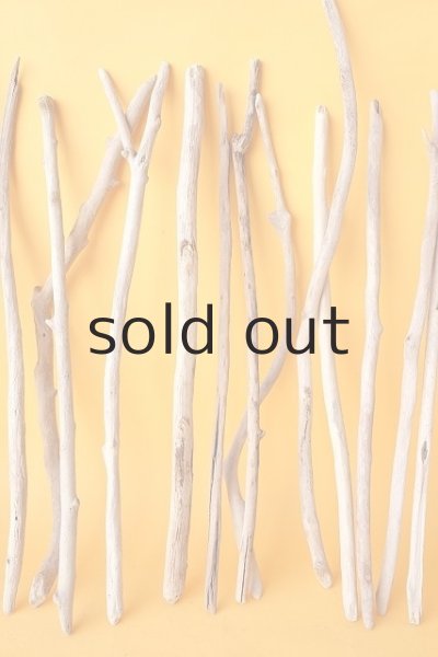 画像4: 小枝流木セット (4)