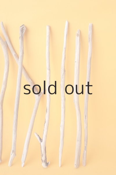 画像5: 小枝流木セット (5)