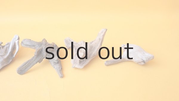 画像5: 変形流木セット (5)