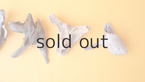 画像3: 変形流木セット (3)