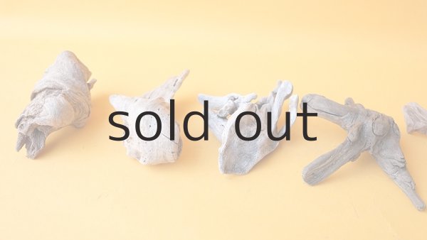 画像4: 変形流木セット (4)