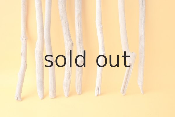 画像2: 小枝流木セット (2)