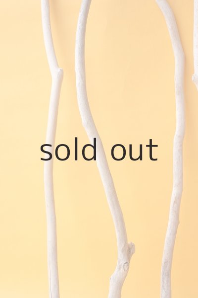 画像5: 小枝流木セット (5)