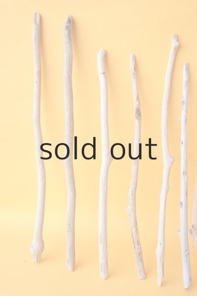 画像2: 小枝流木セット (2)