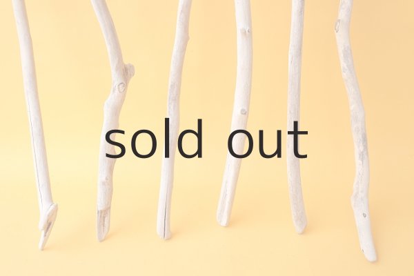 画像2: 小枝流木セット (2)