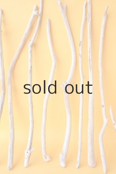 画像3: 小枝流木セット (3)