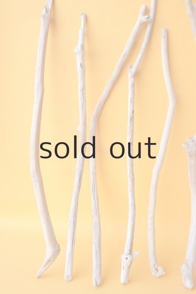 画像2: 小枝流木セット (2)