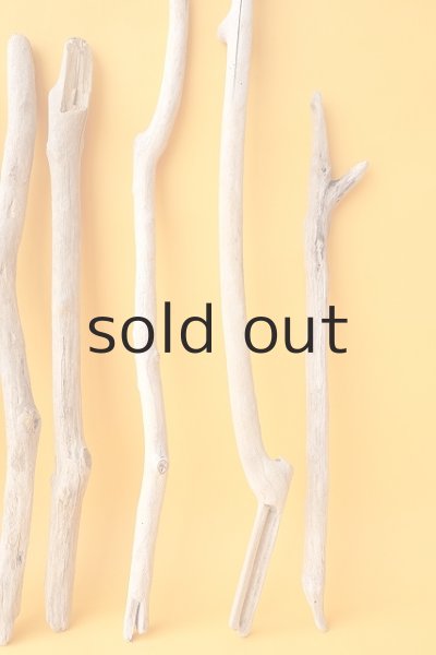 画像5: 小枝流木セット (5)