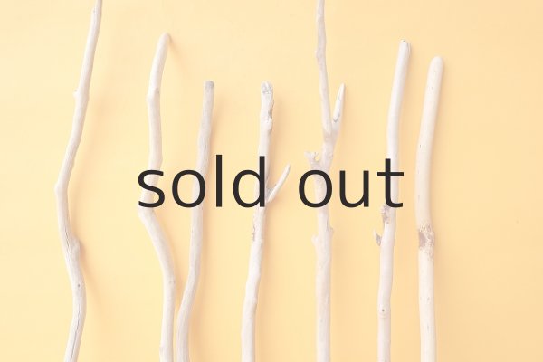 画像3: 小枝流木セット (3)