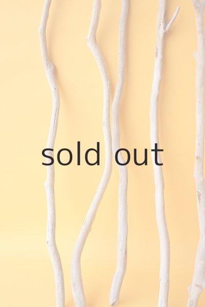 画像4: 小枝流木セット (4)