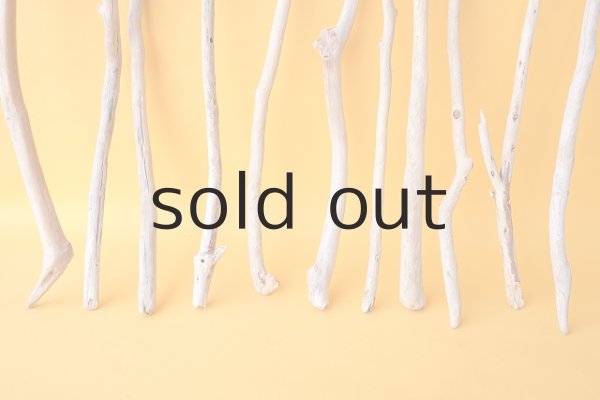 画像5: 小枝流木セット (5)