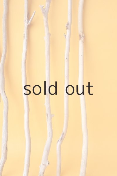 画像5: 小枝流木セット (5)