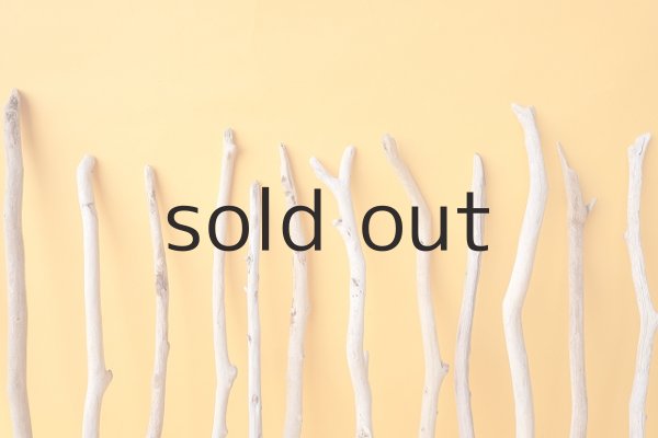 画像6: 小枝流木セット (6)