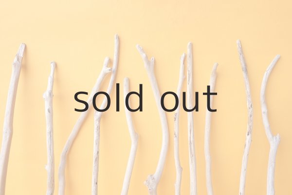 画像6: 小枝流木セット (6)