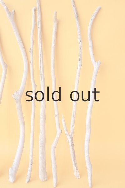 画像4: 小枝流木セット (4)