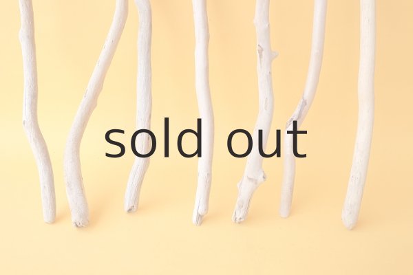 画像2: 小枝流木セット (2)