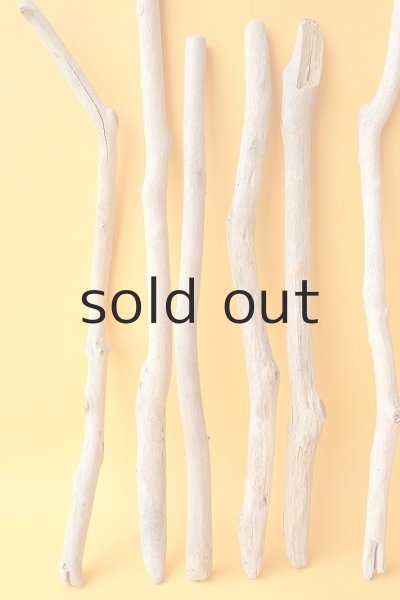 画像4: 小枝流木セット (4)