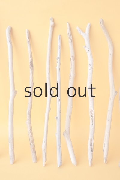 画像3: 小枝流木セット (3)