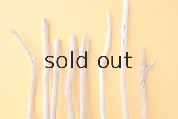 画像3: 小枝流木セット (3)