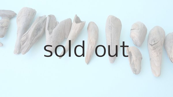 画像6: 変形流木セット (6)